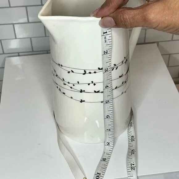 NEW Ciroa Oiseau 48oz Pitcher - Picture 5 of 6